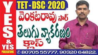 TETDSC తెలుగు వ్యాకరణం క్లాస్  YES amp YES [upl. by Amri]