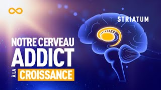 STRIATUM  PARTIE DU CERVEAU ADDICT À LA CROISSANCE [upl. by Legyn153]