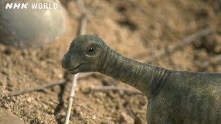 Baby Tambatitanis vs Tyrannosaurus  DINOSAURS [upl. by Cadmann]