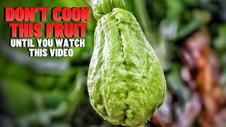 DONT COOK THIS FRUIT AGAIN UNTIL YOU WATCH THIS VIDEO  HOW TO MAKE A CHO CHO PIE  Hawt Chef [upl. by Solrak]