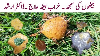 Poultry Droppings  Chicken Normal and Abnormal Poop  Poultry Waste  Diarrhea  Dr Arshad [upl. by Anyl]