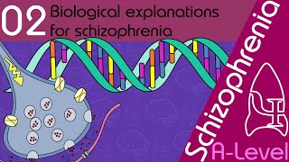 Biological Explanations for Schizophrenia AQA ALevel [upl. by Anayad]