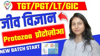 TGT PGT LT GIC BIOLOGY  Protozoa प्रोटोज़ोआ  biology protozoa BY DEEPSHIKHA MAAM ugcnet [upl. by Bocyaj]