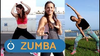 30 Minute Cardio Workout  oneHOWTO Zumba Fitness [upl. by Illac]