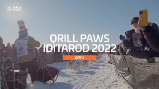 Iditarod Highlight  DAY 1  QRILLPAWS 2022 [upl. by Tarsuss]