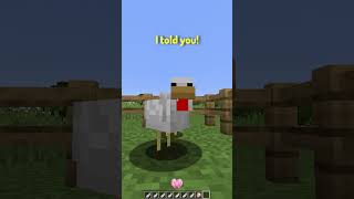 POV Youre a Chicken in Minecraft [upl. by Bozuwa]