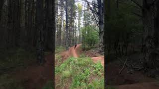 A line step up trail of awesomeness mtb [upl. by Baggott547]