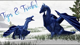 Tips And Tricks  Shard Seekers  Roblox [upl. by Silverman882]