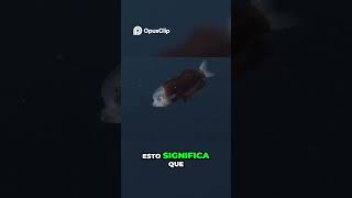 El Depredador de Vista Perfecta Secretos del Pez BarrelEye [upl. by Romelle]