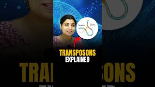 TRANSPOSONS Explained riturattewal neetbiology transposons neet2024 neet [upl. by Enamrej]