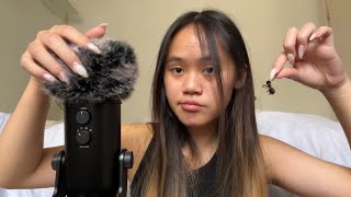 ASMR bug searching and plucking with FastTinglesASMR 🐜 [upl. by Toney546]