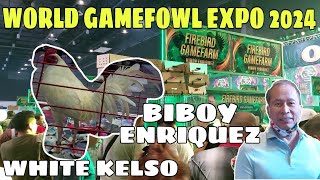 WORLD GAMEFOWL EXPO 2024  FIREBIRD GAMEFARM Biboy Enriquez  BALERIANS GAMEYARD [upl. by Jorgenson97]