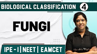 BIOLOGICAL CLASSIFICATION 04  Fungi  Botany  Class 11NEETEAMCET [upl. by Bryon]