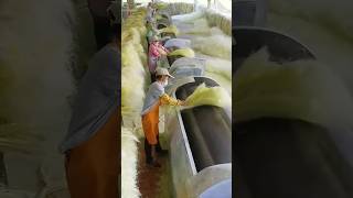 Sisal Soles Processing Full Video handmade natural shoes [upl. by Ahael955]