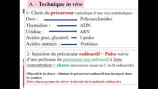 TD2 Autoradiographie 2020 21 vidéo [upl. by Gardy]