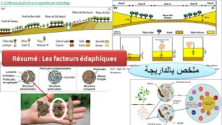 Résumé des facteurs édaphiques SVT TCSF ملخص الدرس بالداريجة [upl. by Moor]