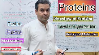 Proteins  Amino acid  Biology  Class 11  Dr Mushtaq Pashto Lectures [upl. by Eycats687]