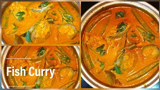 Coconut Milk Fish Curry 😍 [upl. by Eilsew440]