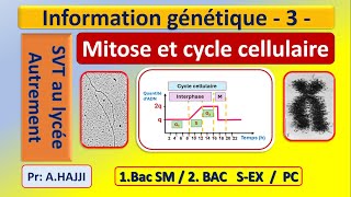 Mitose et cycle cellulaire [upl. by Assiralk]