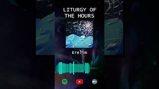 Erelim  Áki indiemusic newmusic album music [upl. by Euseibbob309]