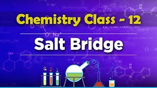 Salt Bridge  Electrochemistry  Chemistry Class 12 [upl. by Azial]