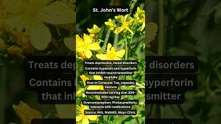 St John’s Wort for Depression and Mood herbal herbalmedicine [upl. by Leunamne]