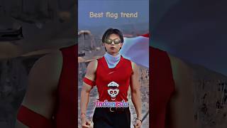 Best flag trend shorts flagtrend [upl. by Bostow]