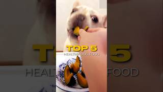 Top 5 food for your dog PetHealth DogLovers PetSafety HealthyPets ParasitePrevention shots [upl. by Ileana]