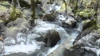 The Brook by Alfred Lord Tennyson [upl. by Nasya]