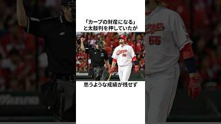 「来日2年でクビが決定した」エルドレッドについての雑学野球野球雑学広島東洋カープ [upl. by Haeluj]