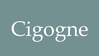 How to Pronounce Cigogne Correctly in French [upl. by Hammock]