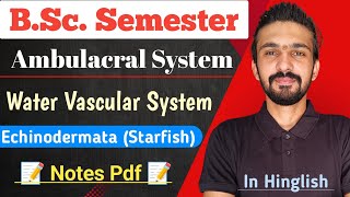 Water Vascular System In Echinodermata  StarFish  Bsc Semester  By Dadhich Sir [upl. by Aleahpar]