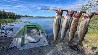 4 Days Camping and Fishing The Alaska Kenai Peninsula [upl. by Evangelina]