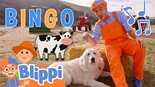 BINGO Song with Blippi  Brand New BLIPPI Dog Song  Fun Educational Songs For Kids [upl. by Gudren788]