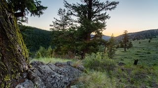 Peachland amp Summerland BC  Free camping easy hiking and lake swimming [upl. by Sheryle]