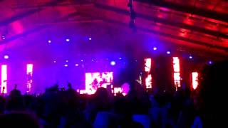 Bassnectar  Seek and Destroy  Coachella 2010 [upl. by Garson]