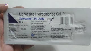 Xylocaine 2 Jelly  Lidocaine 2 Jelly  Xylocaine 2 Jelly Uses Benefit Dosage Review in hindi [upl. by Moffit966]