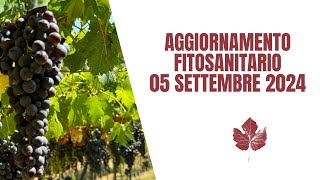 aggiornamento fitosanitario primi settembre [upl. by Frohne]