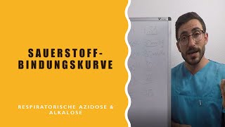 Sauerstoffbindungskurve Respiratorische Azidose und Alkalose [upl. by Renault]