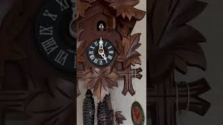 New cuckoo clock chimes [upl. by Aksoyn]