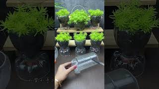 Transformation of laundry soap bottles transformation of self made flower pots use of waste part 1 [upl. by Karilynn]