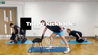 Exercises for MS  Dom Thorpe’s MS Warrior Programme 2  Tricep Kickbacks taster video [upl. by Eenimod]