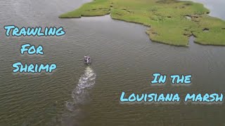 Trawling For SHRIMP In The LOUISIANA Marsh A Seafood Adventure Catch  Clean  Cookquot [upl. by Yekram]