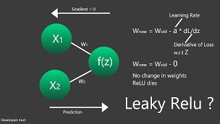 Dying Relu Problem  Leaky Relu  Quick Explained  Developers Hutt [upl. by Nennahs]