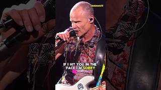 Ooops Flea felt so bad for THIS 😲😲😲 redhotchilipeppers flea rhcp shorts [upl. by Yelsgnik]