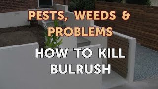 How to Kill Bulrush [upl. by Naujahs]