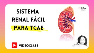 ✅ SISTEMA RENAL FÁCIL PARA TCAE 🏥 Auxiliar de Enfermería  Oposiciones y Pruebas Libres FP  PARTE 1 [upl. by Noled]