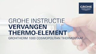 Het thermoelement vervangen van een GROHE Grohtherm 1000 thermostaatkraan [upl. by Assirehs693]