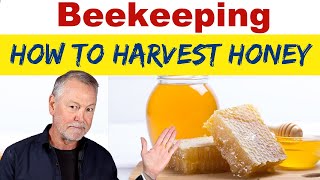 Beekeeping  How To Harvest Honey [upl. by Garrik]