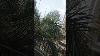 Nextra mayur vihar  Noise Pollution 1 hour intermittent whistles [upl. by Benildis]